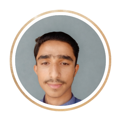 adeel anees